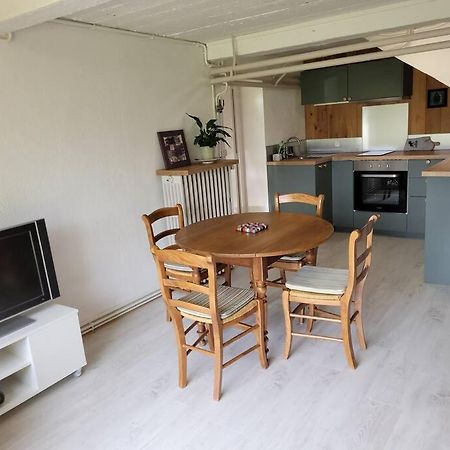 Bel Appartement Rez-De-Jardin Saint-Genest-Malifaux エクステリア 写真